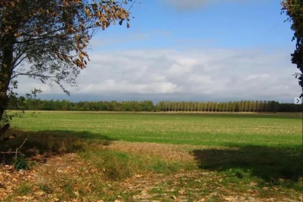 Vakantiehuis In De Polder Kamperland
