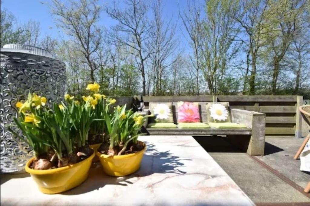 Vakantiehuis In De Polder